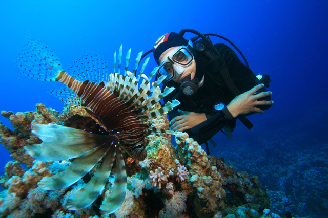 How To Become A Marine Biologist EnvironmentalScience