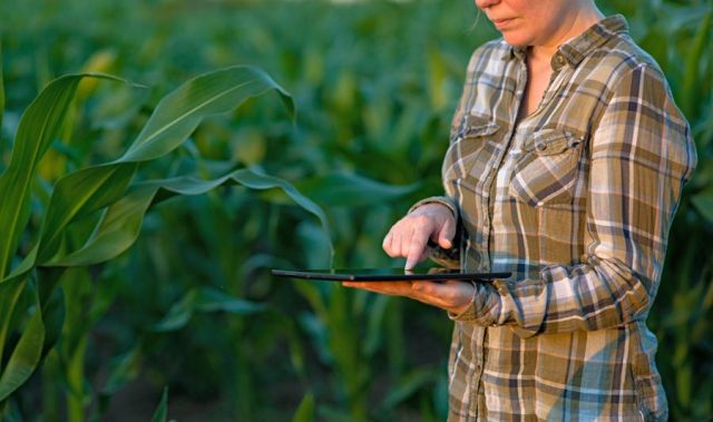 How to Become an Agronomist EnvironmentalScience org