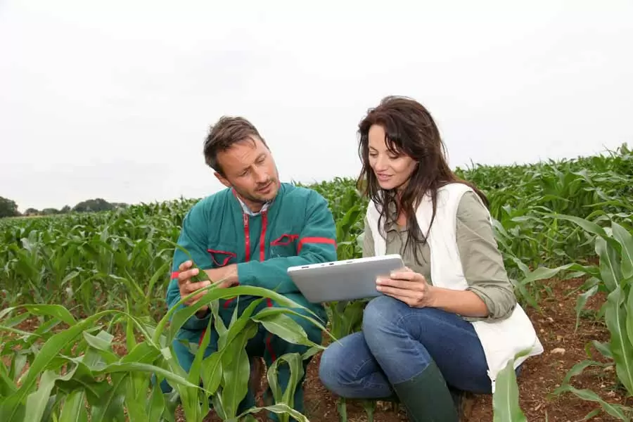 How To Become An Agricultural Engineer - Degrees & Careers