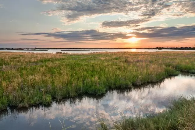 How to Become a Wetlands Specialist | EnvironmentalScience.org