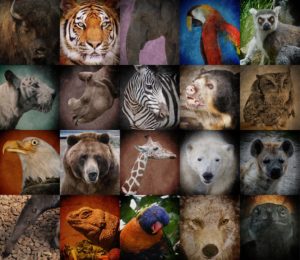 extinct animals collage