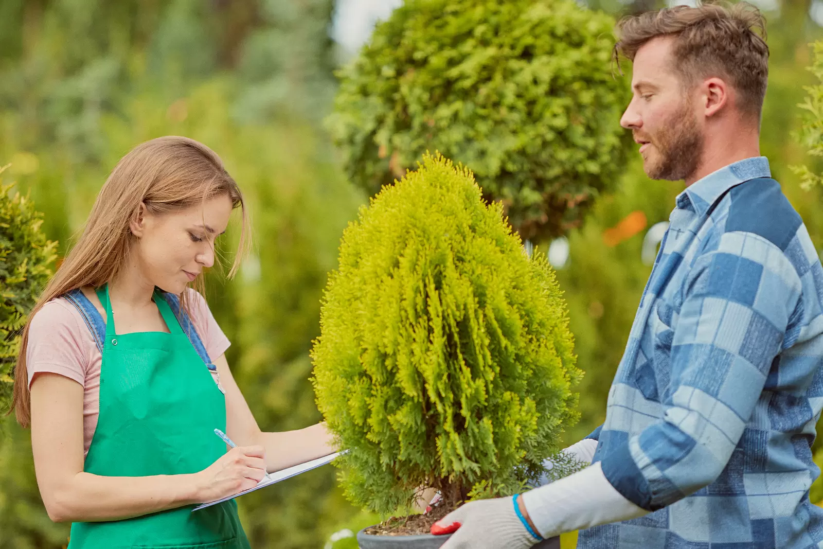 How To Become An Horticulture Technician | EnvironmentalScience.org