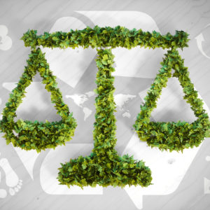 Environmental Law Government And Public Policy Towards The Environment Environmentalscience Org