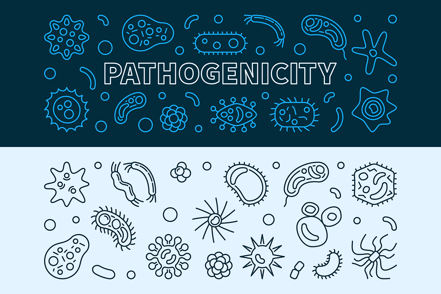 Guide to Parasitology | EnvironmentalScience.org